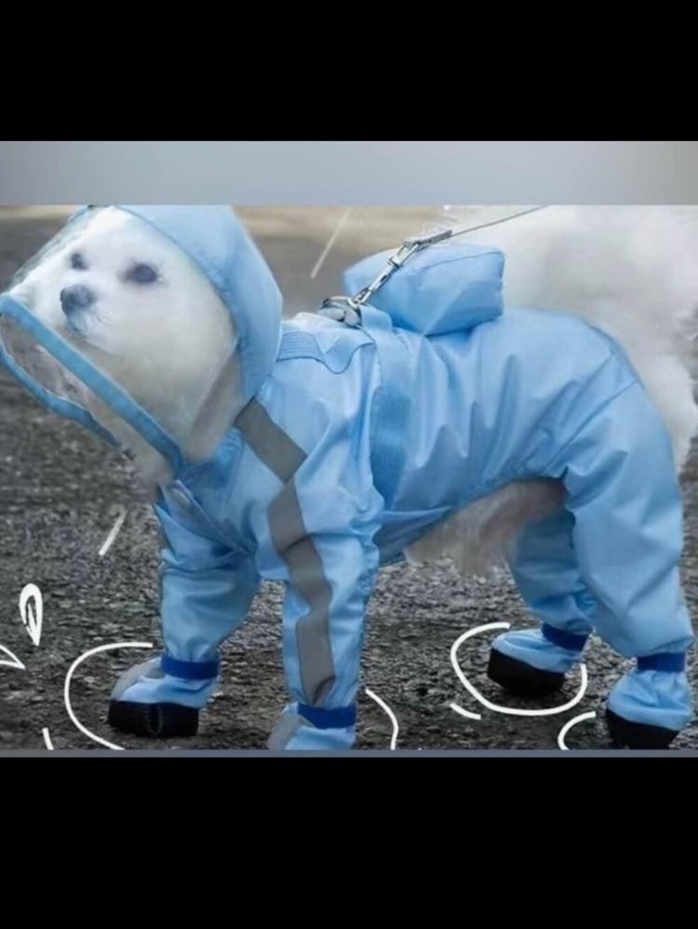 Waterproof Blue Dog Raincoat with Hood and Boots